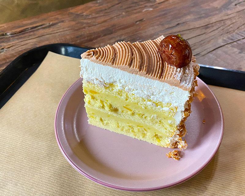 Sweet Potato Cake house plant