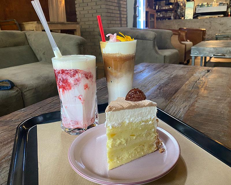 House Plant furniture cafe cake and drinks