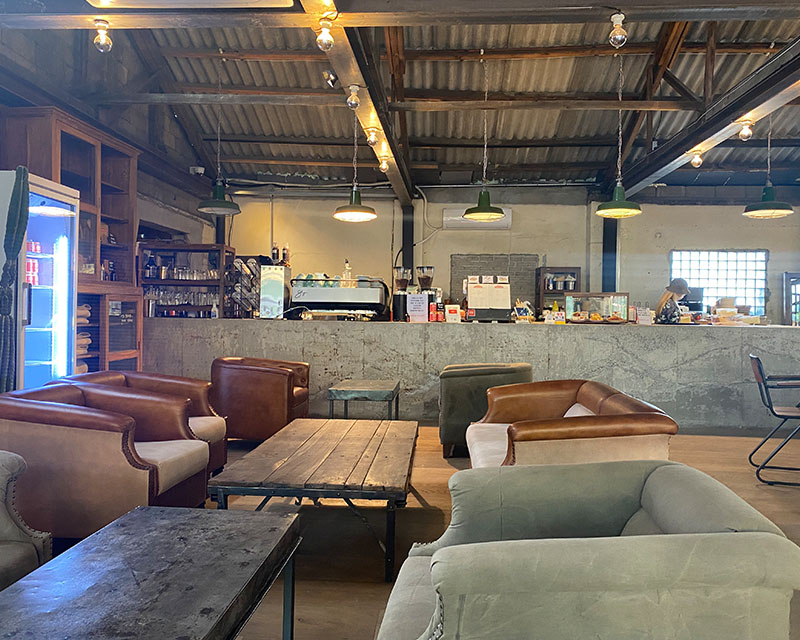 House Plant furniture cafe indoor wooden seating