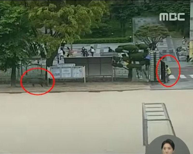 ปิดประตูหมูป่า