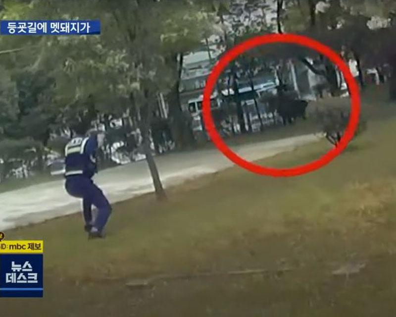 เจ้าหน้าที่ตำรวจ