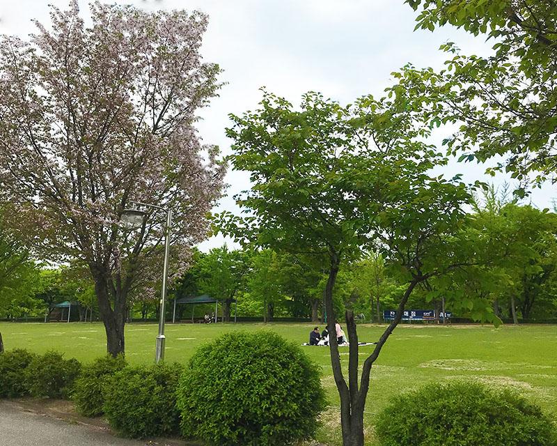 韓國京畿道河南市內單車道風光，遠處有建築和道路。