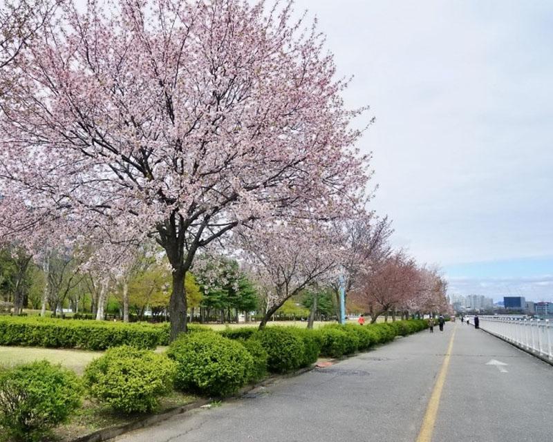 韓國京畿道河南市連續的沿街風光，遠處有山脈和湖泊。