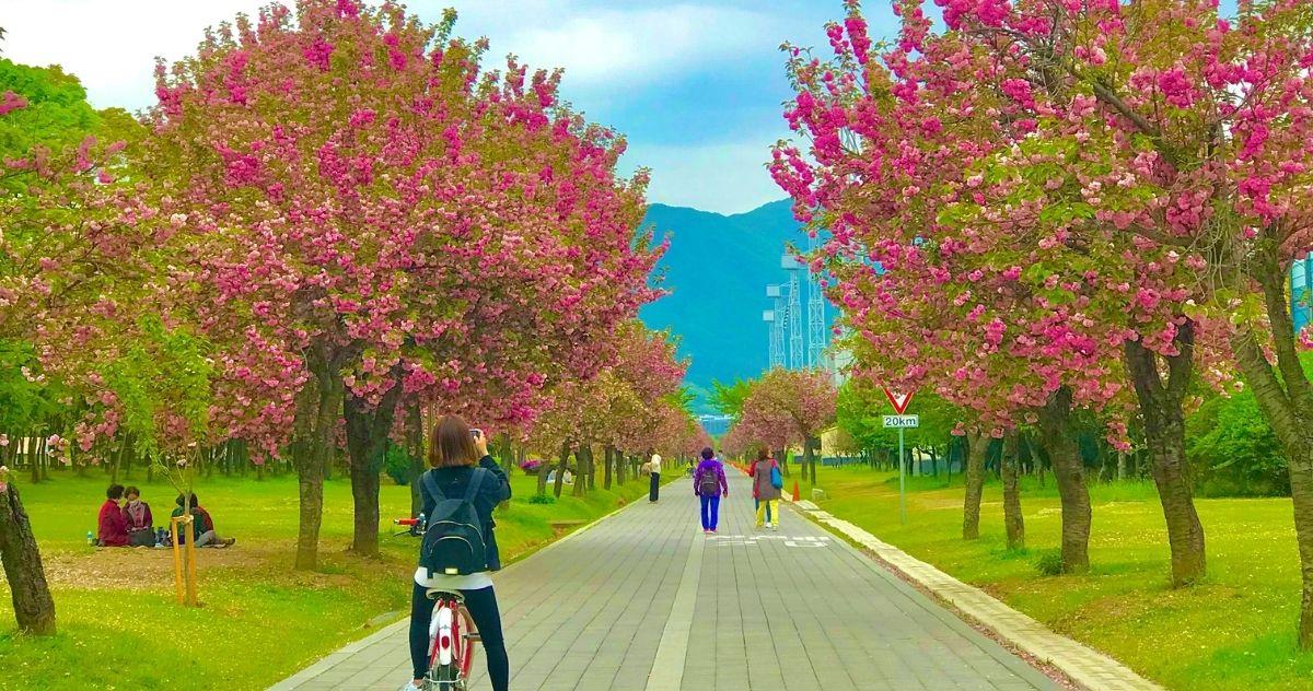 1 ngày ở Hanam I Chơi đâu, ăn gì trong 1 ngày tại thành phố Hanam, Hàn Quốc