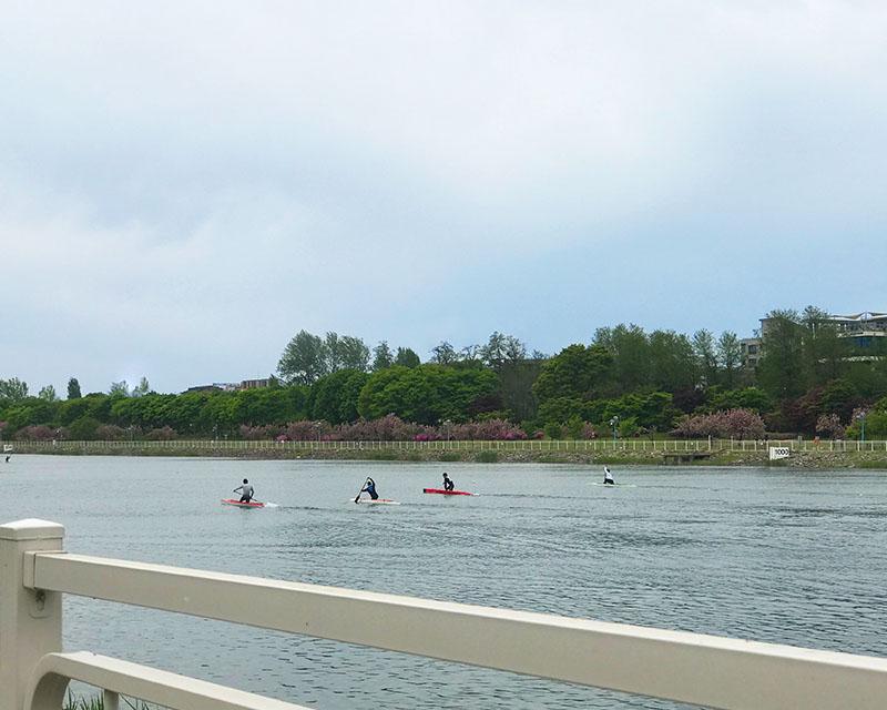 Misari Speedboat Park boats floating on the river