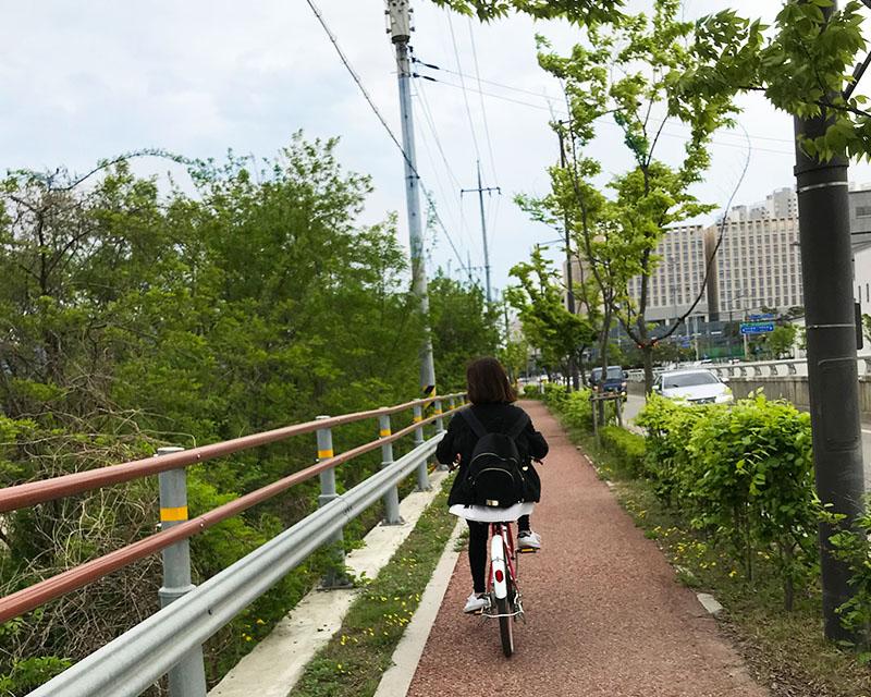韓國京畿道河南市綠意盎然的步道，旁邊是草坪和大樹，適合放鬆心情。