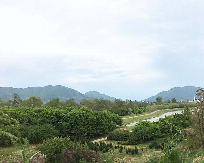 Hanam Tree Orphanage mountain and trees