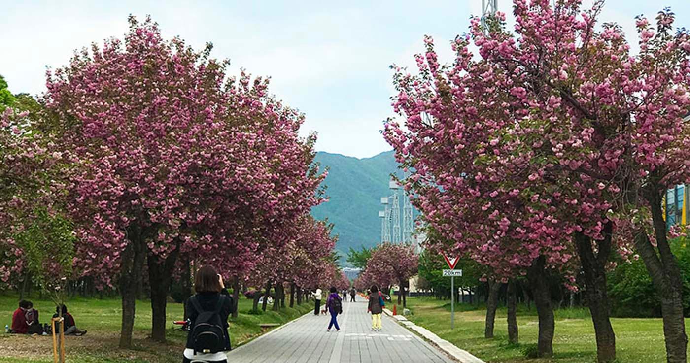 พบกับไกด์เที่ยวแบบวันเดย์ทริปที่ฮานัม เมืองใหม่ใกล้โซลแต่ล้อมรอบด้วยธรรมชาติ