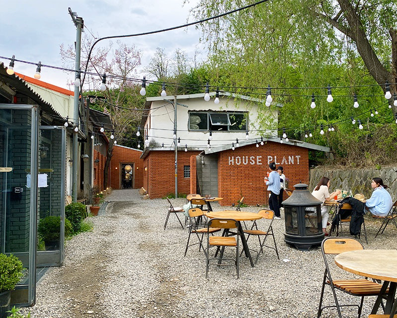 House Plant exterior outside seating