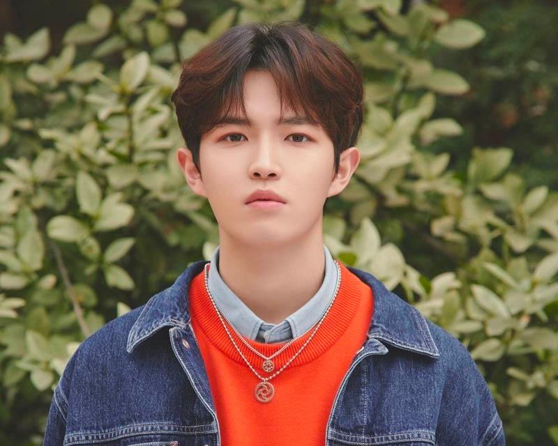 金在奐身穿灰色外套，搭配綠意盎然的背景，他是一位來自湖原大學實用音樂系的韓國男歌手，以優異的音樂才華出眾。