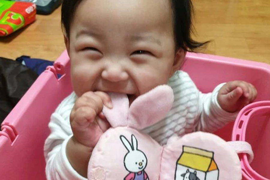 กฎหมายจองอิน