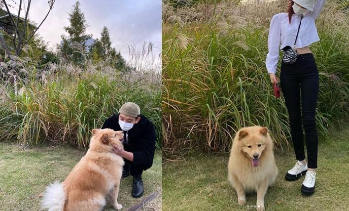 xportsnewsの記事に掲載の写真で、草むらの前で犬を撫でる帽子をかぶった人物と、犬と共に立つ白いシャツを着た人物が写っている。自然の中でペットと一緒に時間を過ごしている様子。