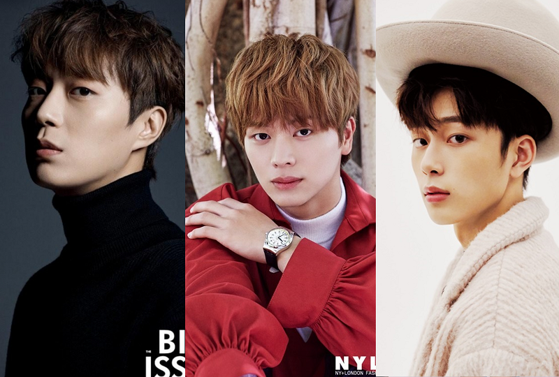 韓国芸能、韓国文化、韓国芸能人、K-POP、韓国アイドル、韓国芸能事務所、顔の傾向、ユン・ドゥジュン、ユク・ソンジェ、イ・ビョンホン、スイカ顔、SM、テヨン、アイリーン、シウォン、馬顔、GD顔、YG、ソン・ミンホ、ソ・ガンジュン、チャ・ウヌ、ウン・ソンウ、パク・ボゴム