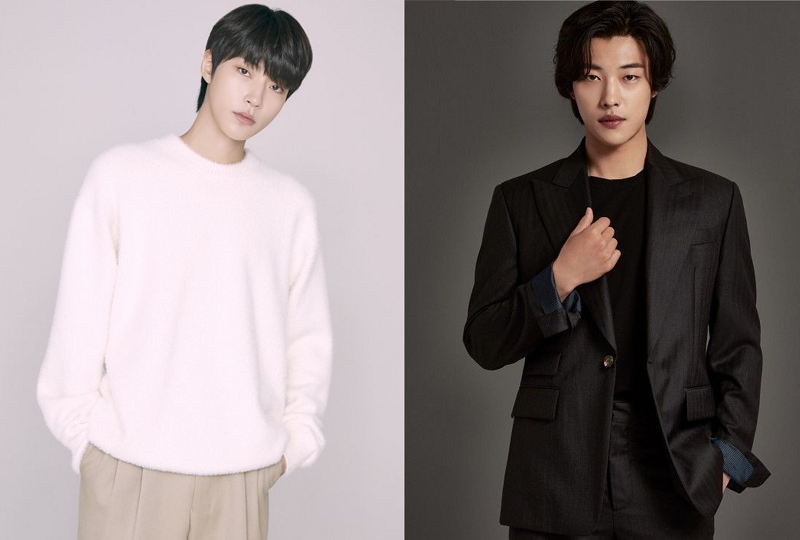 韓国芸能、韓国文化、韓国芸能人、K-POP、韓国アイドル、韓国芸能事務所、顔の傾向、ユン・ドゥジュン、ユク・ソンジェ、イ・ビョンホン、スイカ顔、SM、テヨン、アイリーン、シウォン、馬顔、GD顔、YG、ソン・ミンホ、ソ・ガンジュン、チャ・ウヌ、ウン・ソンウ、パク・ボゴム