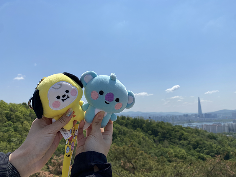 Achasan view with BTS RM & Jimin plushies