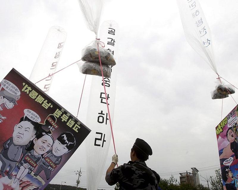 กลุ่มนักเคลื่อนไหว