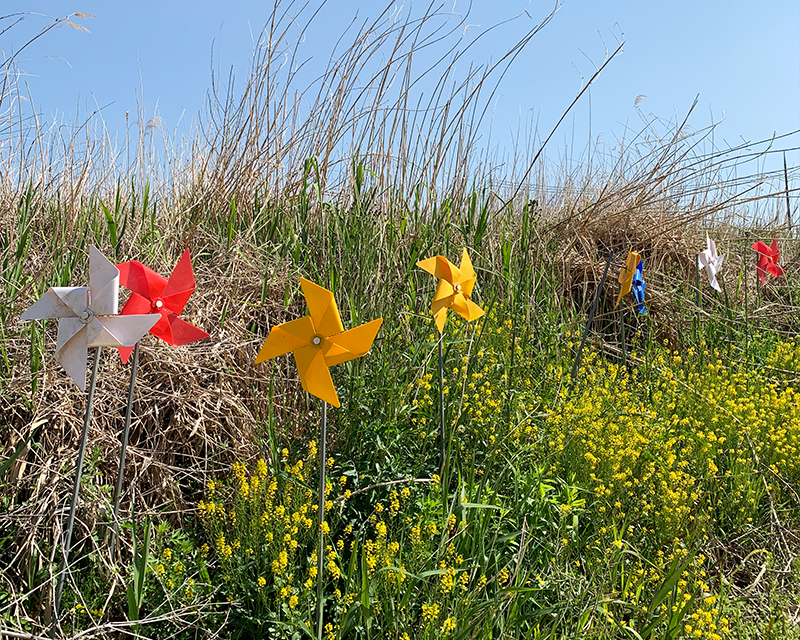韓国 韓国旅行 丹陽 タニャン 1日旅行 嶋潭三峰 石門 韓国情報 旅行 観光地