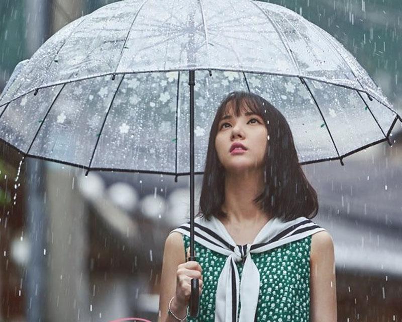 ช่วงที่เกาหลีมีฝนตกบ่อย 