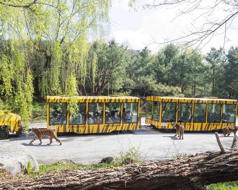 สวนสนุกเอเวอร์แลนด์