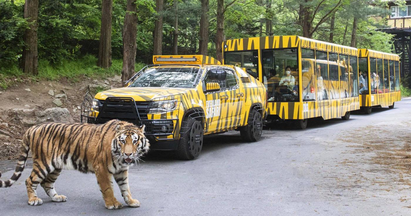 สวนสนุกเอเวอร์แลนด์เปิดตัวรถซาฟารีคันใหม่