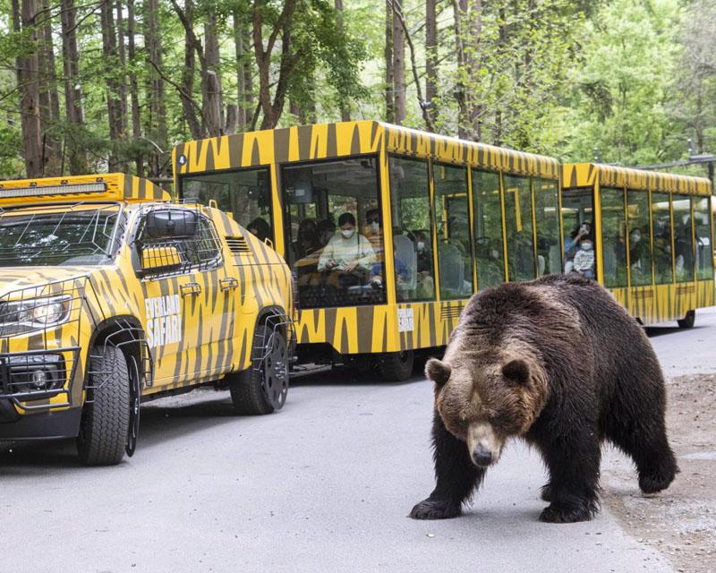 รถรางคันใหม่