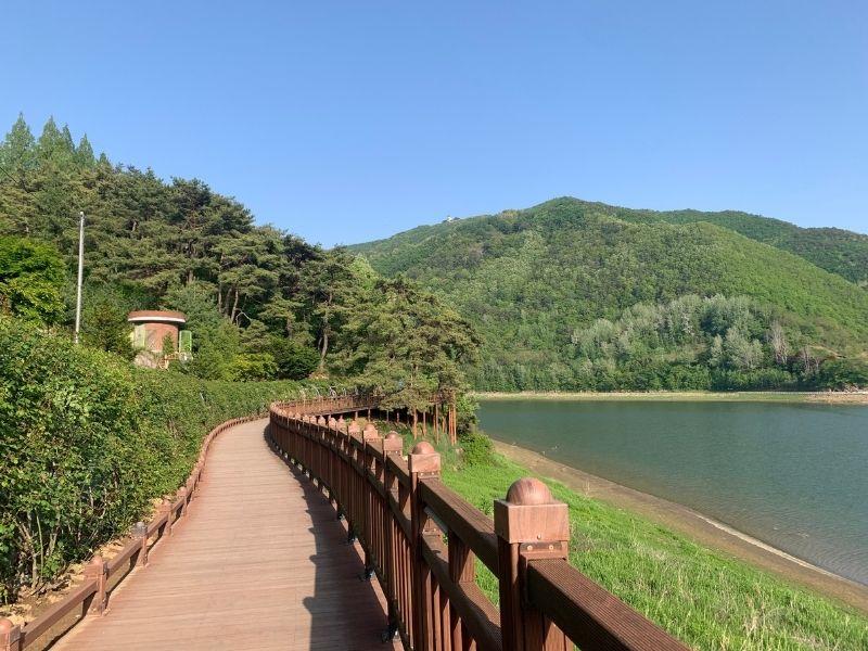 Rose Tunnel: ทันยาง | เดินเลียบน้ำ