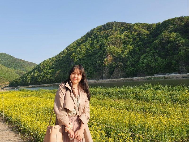 Rose Tunnel: ทันยาง | ทุ่งดอกไม้สีเหลือง