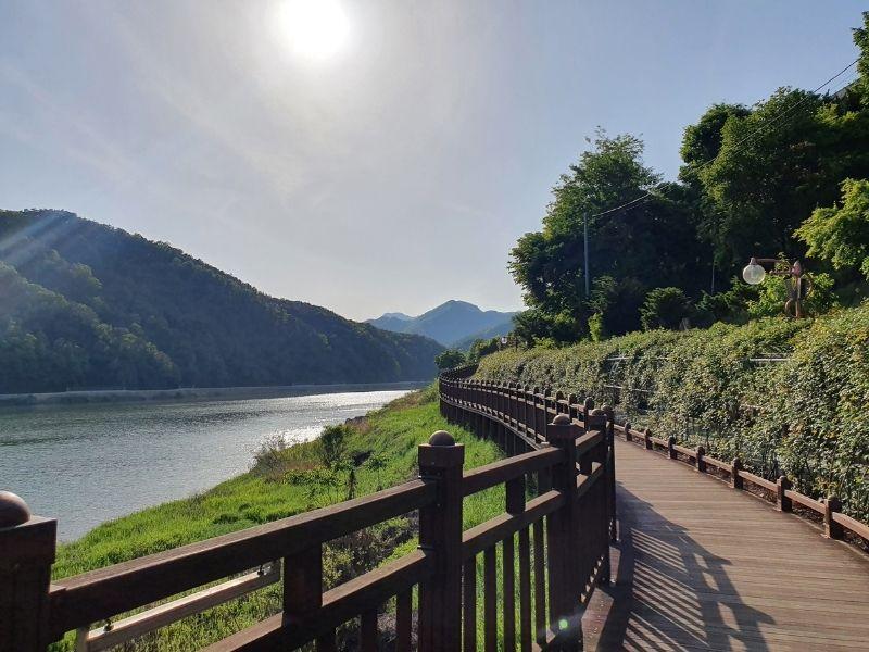 Rose Tunnel: ทันยาง | แม่น้ำทันยาง