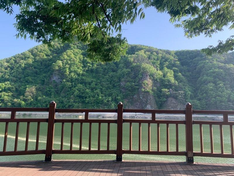 Rose Tunnel: ทันยาง | ภูเขาทันยาง