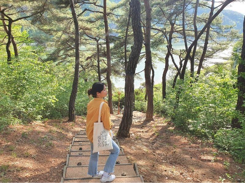 Rose Tunnel: ทันยาง | มุมถ่ายรูป