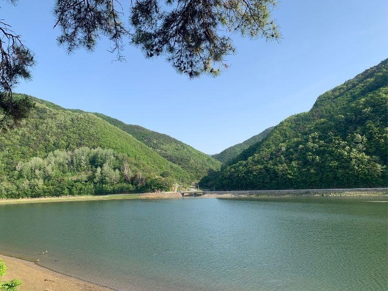 Rose Tunnel: ทันยาง | ทะเลสาบ