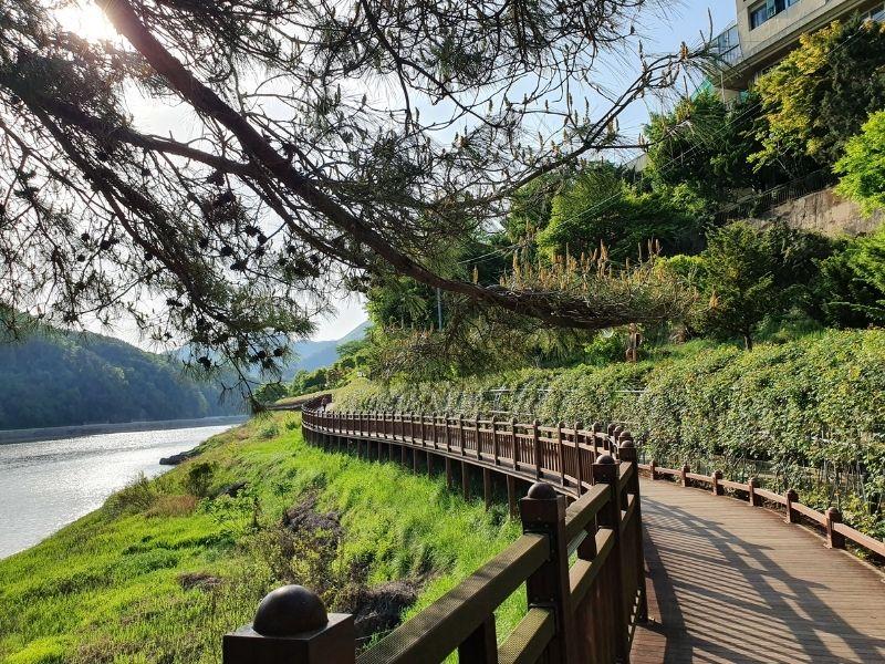 Rose Tunnel: ทันยาง | ทางเดินริมน้ำ