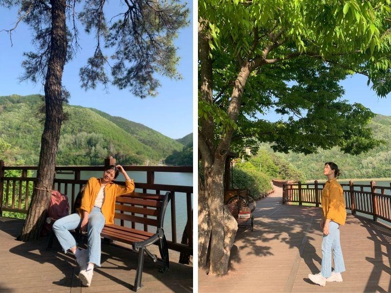 Rose Tunnel: ทันยาง | มุมถ่ายรูป