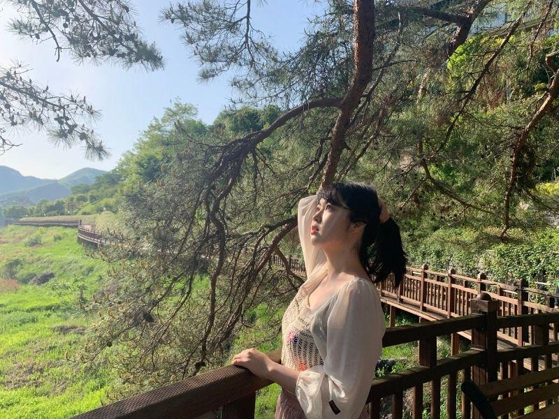 creatrip editor posing under branches of a tree above a boardwalk at rose tunnel in danyang south korea