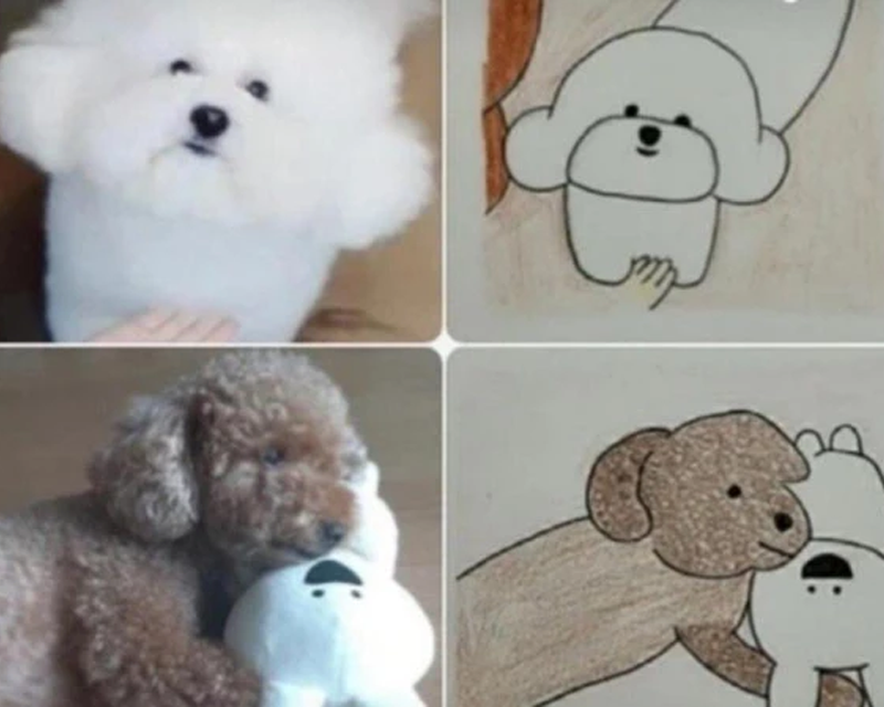 photos of dogs turned into drawings