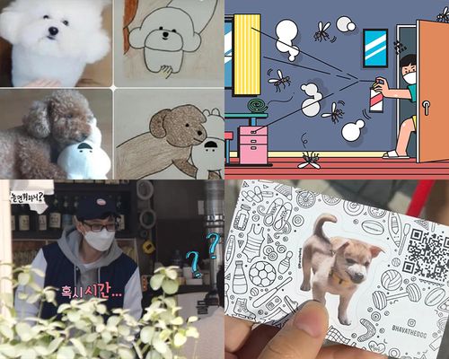 series of four images for secondhand shopping platform stories blog, one for photos to drawings, cartoon of killing bugs, yoo jae suk, and dog stickers