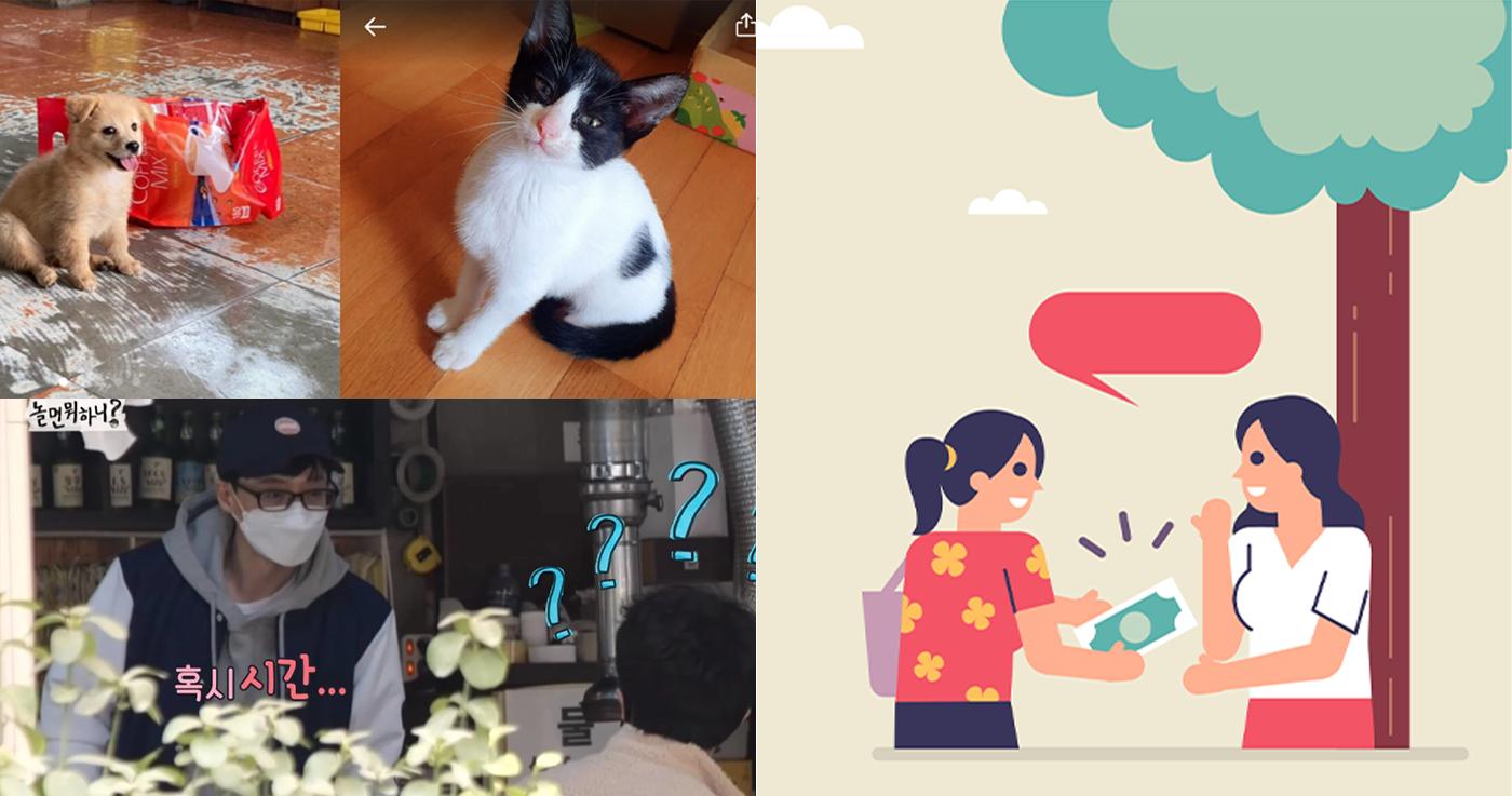 Ofertas innovadoras e impactantes realizadas en plataformas de compras de segunda mano en Corea