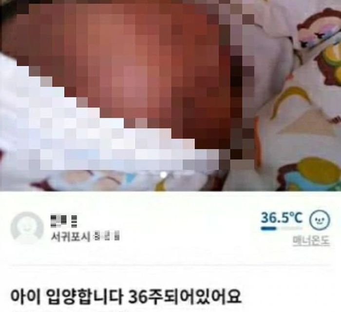 screenshots of korean secondhand shopping app of someone selling a 36 week old baby