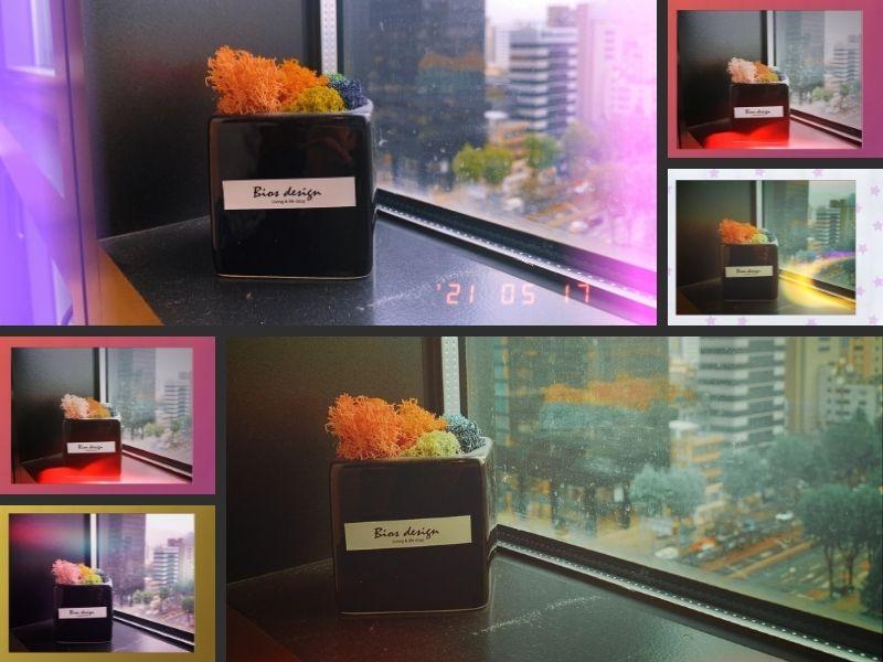 แอปพลิเคชั่นถ่ายรูป