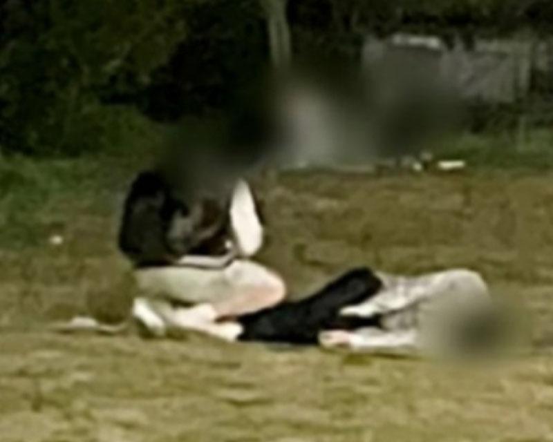 ข่าวนักศึกษแพทย์เสียชีวิตริมแม่น้ำฮัน