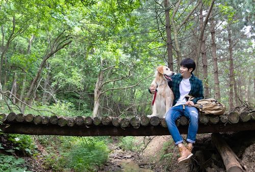 Creatrip 韓国のペット事情と名前ランキング Creatrip 韓国のペット事情と名前ランキング