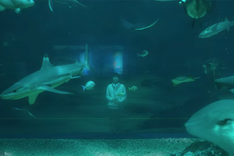 SEA LIFE Busan Aquarium Move to heaven Netflix