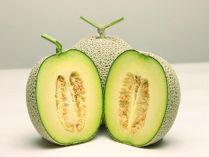 한국의 아름다운 초록색 멜론의 반짝이는 단면이 볼 수 있는 이미지로, Binggrae 멜로나 아이스크림 고유의 맛을 위한 원료로 사용됩니다.