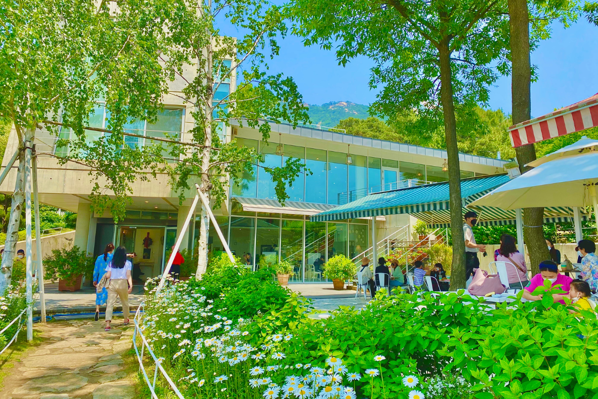 Dore Dore: Quán cà phê với vườn hoa daisy nổi tiếng nhất Ganghwado, Incheon