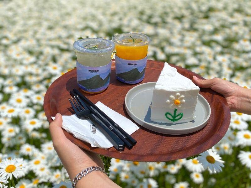 仁川 2025 Dore Dore