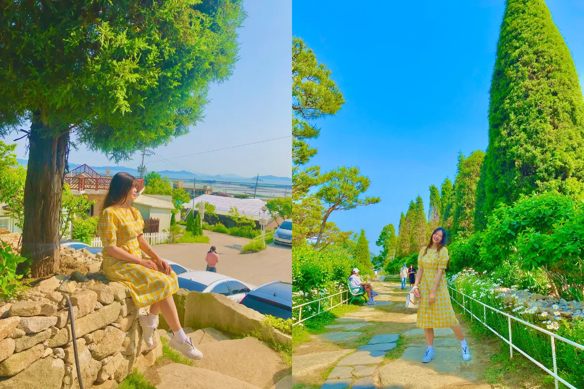 韩国仁川江华岛道乐道乐咖啡厅的户外花园景观，游客在阳光明媚的天气里坐在花园长椅上，周围绿意盎然，呈现出明亮的夏日氛围。