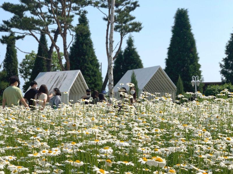 韩国咖啡厅 Dore Dore