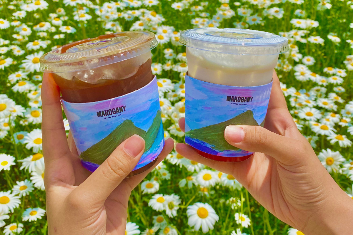 Dore Dore: Quán cà phê với vườn hoa daisy nổi tiếng nhất Ganghwado, Incheon