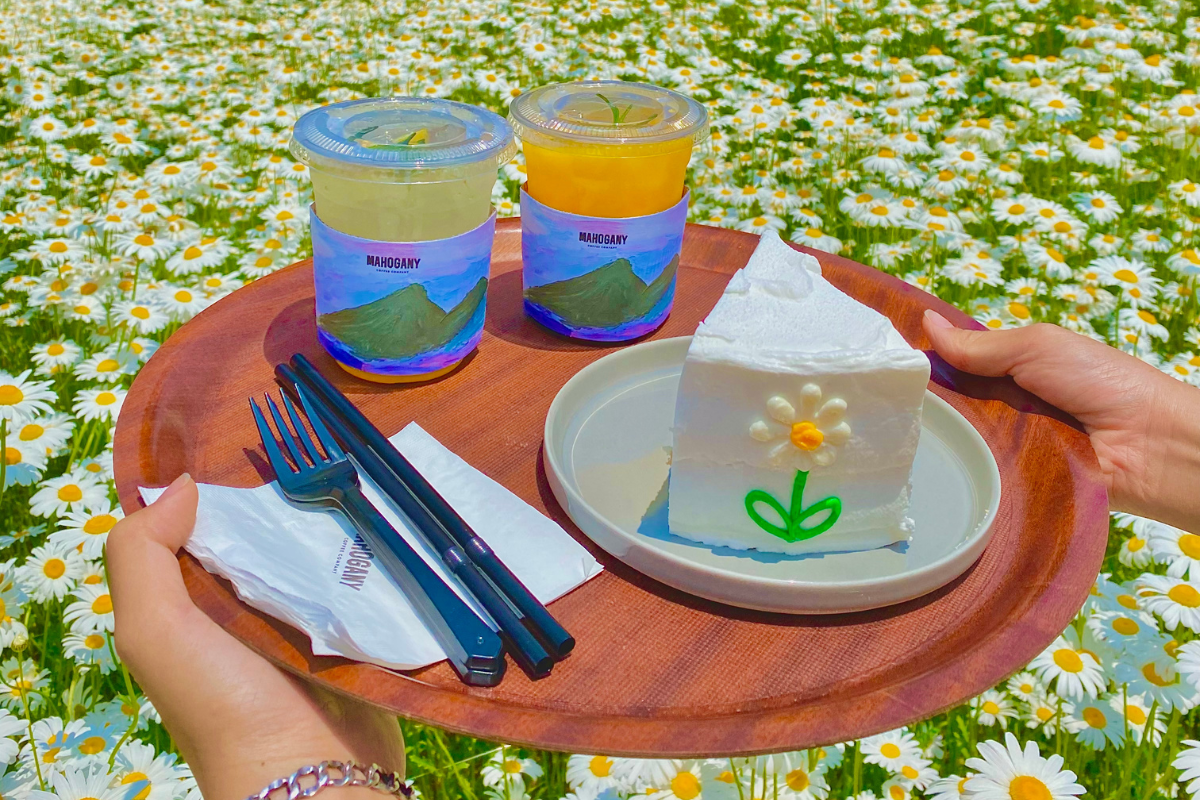 Dore Dore: Quán cà phê với vườn hoa daisy nổi tiếng nhất Ganghwado, Incheon