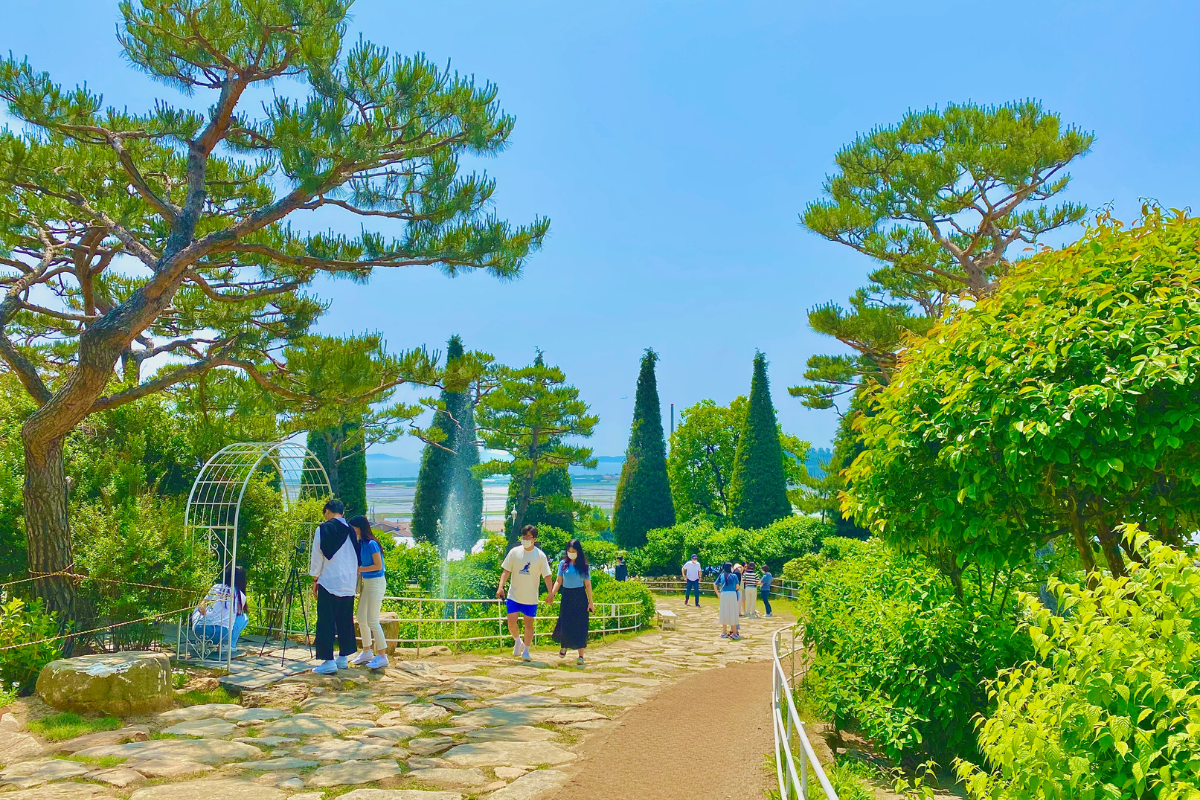 Khu vực ngoài trời tại quán cafe Dore Dore Ganghwado với không gian xanh rộng lớn và cảnh quan tự nhiên, cho phép khách tận hưởng không khí trong lành.